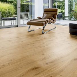 Oak York soya1